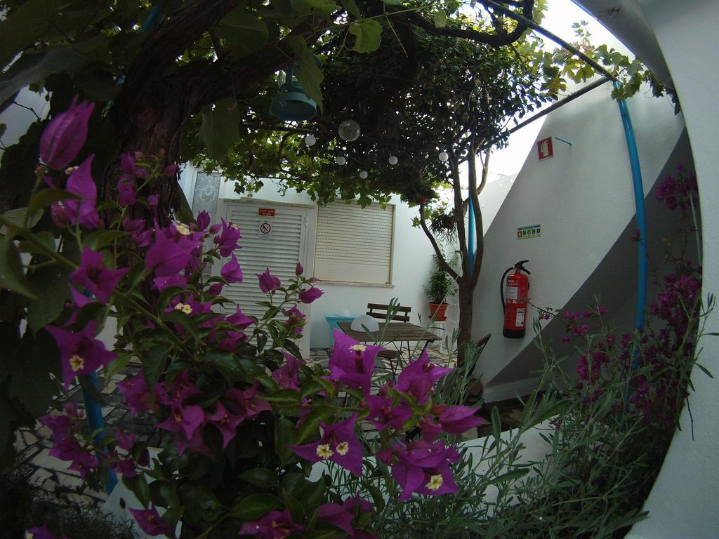 Ahoy Porto Covo Hostel Extérieur photo